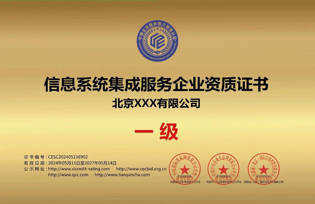 信息系統(tǒng)集成業(yè)務(wù)綜合能力的深度認(rèn)可