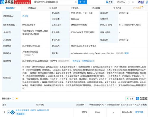 雅安低空產(chǎn)業(yè)發(fā)展公司成立 布局航空、衛(wèi)星與信息系統(tǒng)集成新賽道